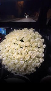 101 🤍 | Herbarium • ჰერბარიუმი