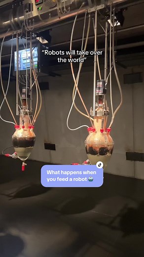 Robots Eating and Pooping: A Fascinating Journey in Tasmania