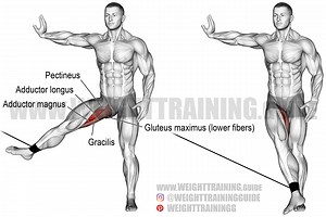 Cable hip adduction exercise instructions and video | WeightTraining.guide