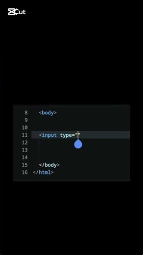input text tag in.html #htmltutorial #htmlcode #htmlelements #htmlcsswebsite #html5