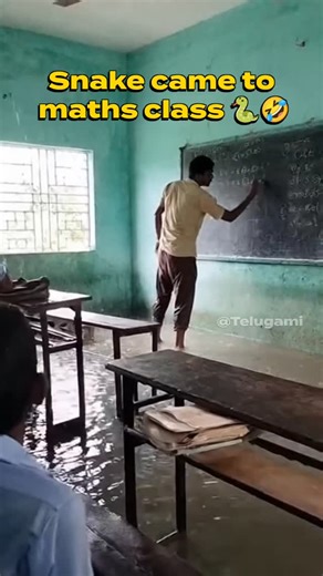 ᴛᴇʟᴜɢᴀᴍɪ ✶ on Instagram: "⚡Snake Came in Maths class 🤣 . . . . . . . . . . . . . #maths #mathsteacher #mathsmemes #neet #streetinterview Ai generated News Reporter Hyderabad Rains Floods Bike Stunts Funny Comedy Hyderabad rains 2025 Hyderabad heavy rainfall Water logging in Hyderabad Boats on roads Hyderabad Funny monkey video in rain Hyderabad flood update Rain comedy Telugu Hyderabad monsoon trouble Public awareness in rain Hyderabad rain warning Hyderabad monkey vlog Rain disaster awareness 