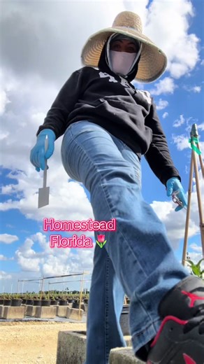 Exploring Homestead, Florida: A Hidden Gem