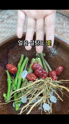 맨날 버리던 '가지뿌리'를 대추랑 끓였더니?! 대박;; 🌿🤫 #hiddenplants #naturetips #herbs #plantscience
