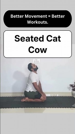 Seated Cat–Cow Flow for Spine Relief - Hustle Happiness