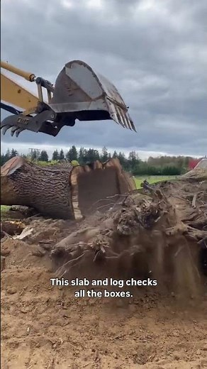 A salvaged walnut tree from Oregon #woodworking