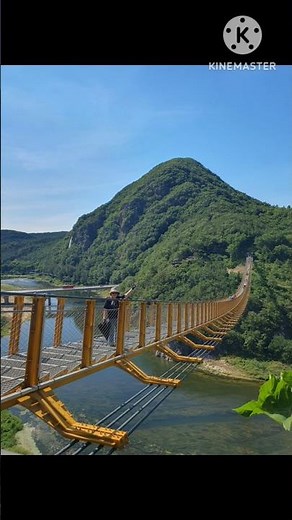 무주 머루와인동굴~금산 월영산 출렁다리로 #쇼츠 #무주 #금산군