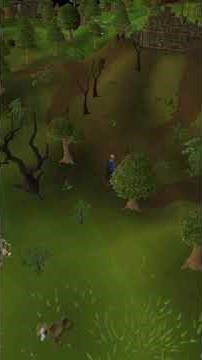 Fighting Spiders by H A M hideout OSRS