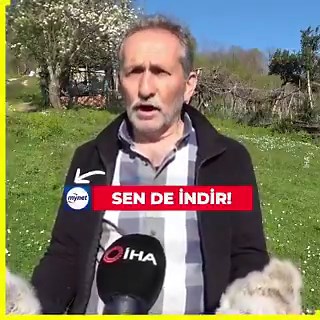 Daha tüylenmemişler bile, gözleri kapalı uyuyorlar uluorta, eridim bittim çıldırdım izlerken