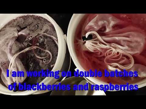 Homemade Berry Wine Recipe