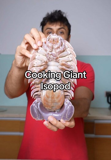 Cooking Giant Isopod: A Seafood Lover's Delight
