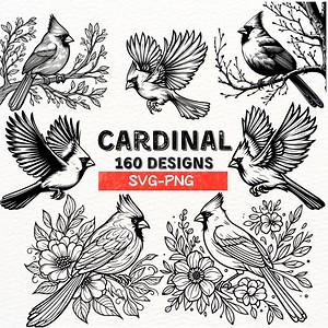 Cardinal Bird SVG Bundle | 160 Cardinal Designs | PNG Files for Cricut & Silhouette | Bird Clipart | Floral Cardinal | Instant Download - Etsy