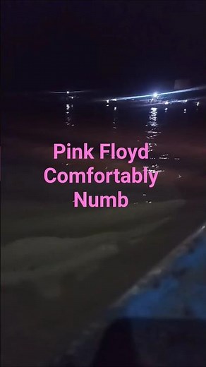 Comfortably Numb ❄️ Pink Floyd’s Most Emotional Guitar Solo | #pinkfloyd #sydbarrett #davidgilmour