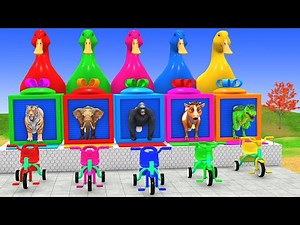 Long Slide Game with Cow Elephant Gorilla Hippopotamus Tiger 3d Animal Game Funny 3d Animals