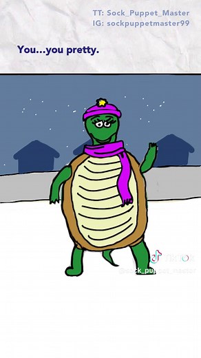 Sock Puppet Master on TikTok