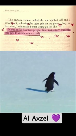 The penguin love story|penguin documentary