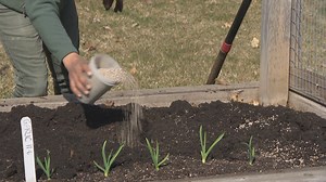 Spring Planting Starts with Soil Preparation