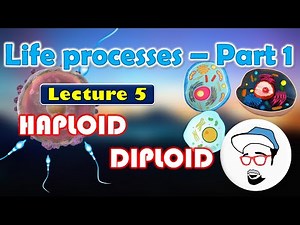 Haploid V/S Diploid || Life processes in Living Organisms Part 1 Class 10 SSC CBSE