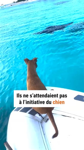 Finn se fait toujours de nouveaux amis 🤗 | Argo France