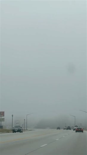 Is This Froggy Zombie Apocalypse 🧟