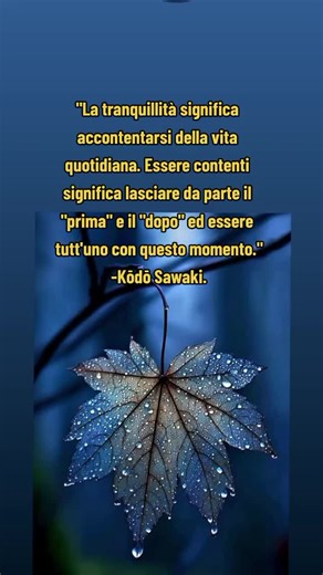 Video di maria (@mariacaruso460) con Shine - ShignBright