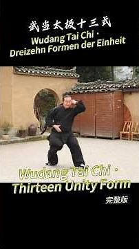 Wudang Tai Chi 13 Steps｜Slow, Powerful, and Elegant!#WudangTaiChi#武当太极#TaiChi13Form#TraditionalWushu