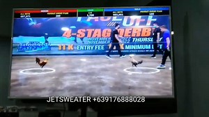 WPC 4 STAG DERBY JETSWEATER 11-10-2022