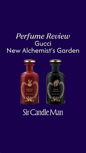 Gucci Ylang Ambrato and Lignum Idealis Perfume Review