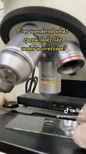 Exploring Sperm Under Microscope | Microscopic Analysis