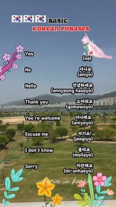 8.2K views · 168 reactions | Basic Korean Phrases | Daria in Korea | Facebook