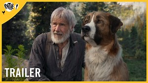 79K views · 1.2K reactions | Het avontuur van je leven! Ga mee op reis met Buck en Harrison Ford in The Call of the Wild. Vanaf 19 februari te zien bij Pathé. | Pathé | Facebook
