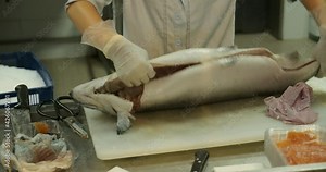 Close-up shot of a woman worker's hand in a market factory, a woman stands on the process of cutting a salmon and stacking red fish fillets. Fish meat processing plant. Fish factory, fish cutting