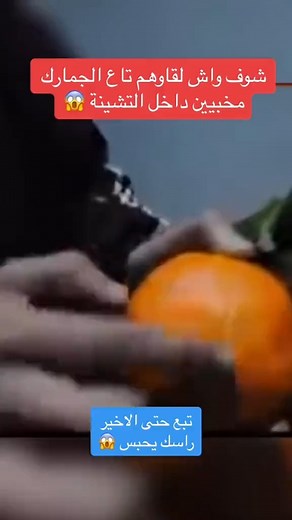 Infoalgeriedz on Instagram‎: "douane diwana police bri gendarme algérienne orange fruit port d'alger en panne renault clio renault trafic fourgon port de marseille la joliette transporteur transport bagages algérien dz skikda oran bejaia skikda annaba alicante algerie ferrie corsica linea #transporter #transporteur #dz #algerie #Marseille #marseilla #foryou #pourtoi #lajoliette #vieuxport #joliette #algerien #france #portdemarseille #portmarseille #almeria #espana #Oran #portoran #almeriaoran #a