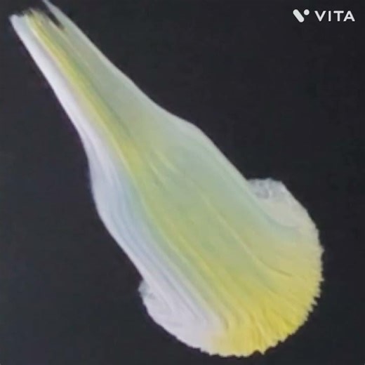 BEAUTIFUL ONE STROKE PAINTING TECHNIQUE FOR BEGINNERS