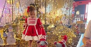 Inside Brigg Garden Centre's incredible' Christmas display