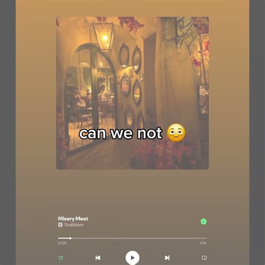 PLEASE JUST STOP HACKING SPOTIFY SONGS I BEG#meme