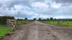✨Auction 3 December 2025- 440 Fencourt Road, Cambridge https://www.nzsothebysrealty.com/property/listing/CAM1741/440-fencourt-road-cambridge/{mp_custom_field_1} Held for over 50 years- Offered for the first time Just five minutes from the boutique township of Cambridge, this exceptional 30-hectare (more or less) property combines the appeal of premium sandy loam soils with a strong income profile and superb location. Flat, highly productive pasture is bordered by established barberry hedging, cr