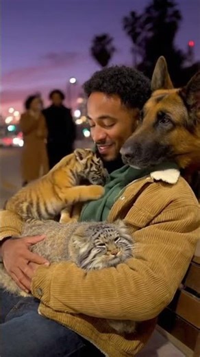 Griffith Observatory's Best Sunset View Our Trio! 🔭🌇