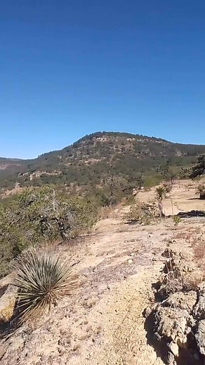 3.8K views · 86 reactions | Las culebras  El mentado Lino | Bogar Obregón | Facebook