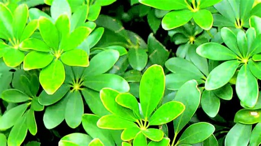 一个视频教你三步连接轻松Quik，进来学