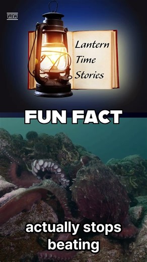 OCOTPUSES have 3 hearts #funfacts #octopus