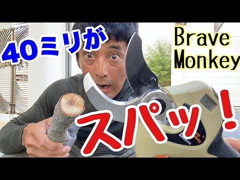 【電動剪定バサミ】BraveMonKey-04【植木屋ケンチャンネル】