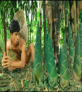 9.8M views · 10K reactions | Dig bamboo shoot and find giant bee #reelsvideoシ #reelsfbシ #reelsviralfb #cooking #love #reelsfbシ #chef #survival #Amazing #food #yammyfood | Outdoor Chef | Facebook