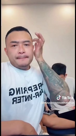 Game nuôi mèo offline vui nhộn