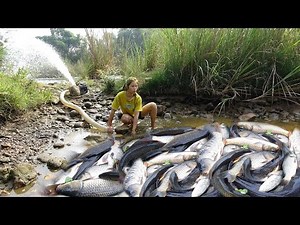 Best fishing skills - The girl used the pump to suck all the water in the lake, Catch a lot fish