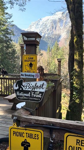 Never Seen a Coffee Shop in Washington Like This Before #unique #nature #travel
