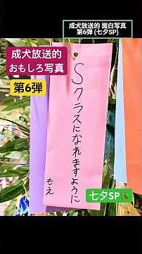 【面白写真】おもしろ画像にツッコめ！第6弾【完全オリジナル】#写真#おもしろ画像#面白画像#おもしろ写真#画像#ツッコミ#ボケ#ドッキリ#七夕#短冊#願い事#天の川#アウトレット#織姫#彦星#スカーフ