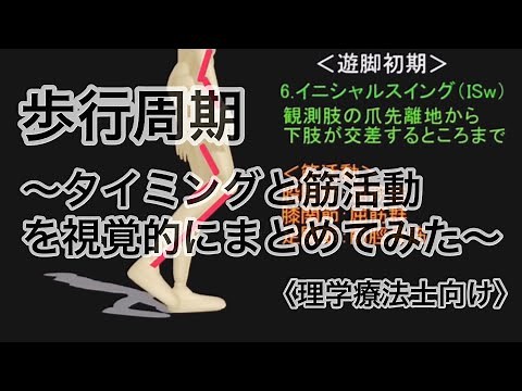 歩行分析・歩行周期