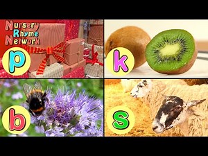 A to Z Songs Compilation 🐮 🍭🚂🌱 ABC Learning Singalongs for Toddlers ❤️
