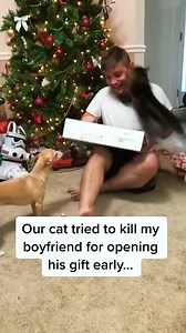 281K views · 9K reactions | The cat wants you to shut up.藍藍藍 . . . . . . . . . . . . . . . #FunnyCats #CatComedy #PurrfectlyHilarious #FelineFunnies #CatLoversUnite #usa #newyork | Cats World | Facebook