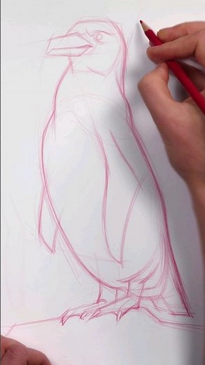 Why Do I Sketch With Red Pencils? #drawing